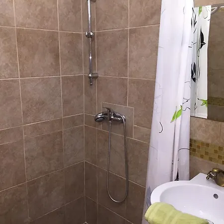 Guest house Elvis 2*